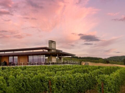 Vineyards and Tasting Rooms