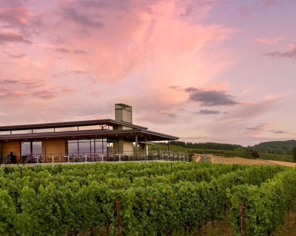 Vineyards and Tasting Rooms