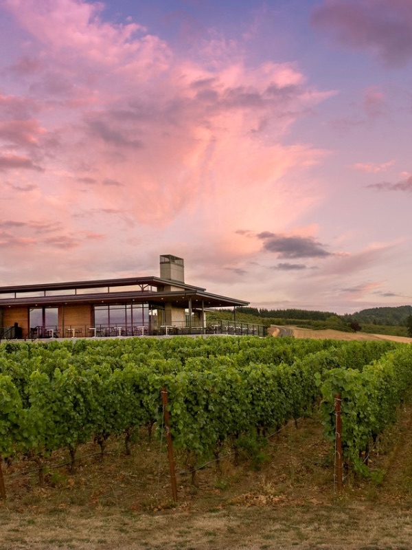 Vineyards and Tasting Rooms