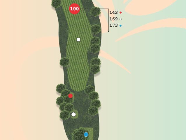 Hole 4