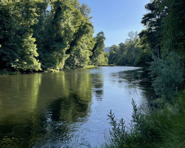 Applegate River