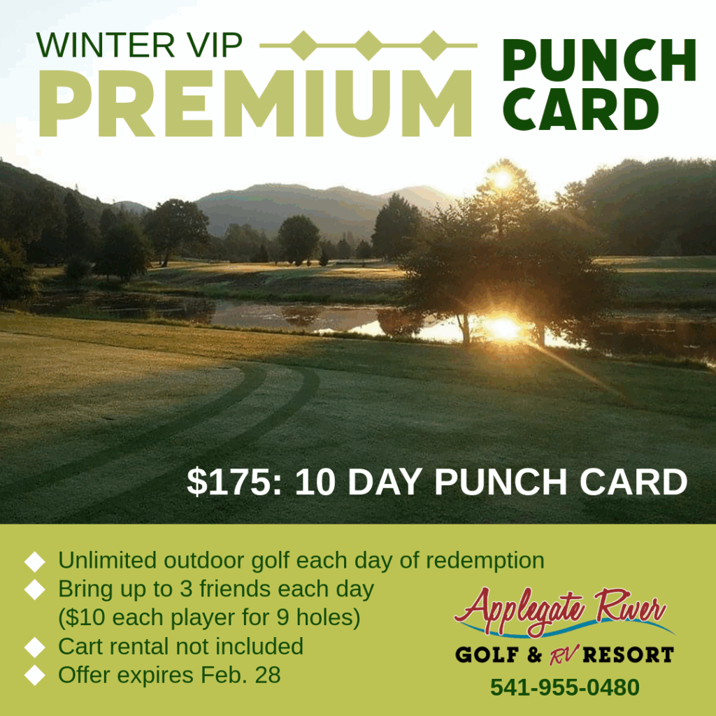 Winter VIP punch card special