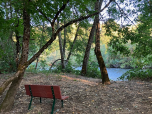 path from the RV park to the Applegate River access with a bench