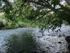 Applegate River access from the RV park